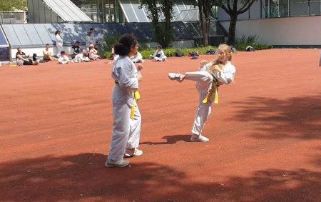 Mobirise Website Builder