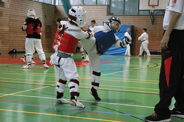 elite taekwondo