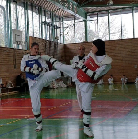 elite taekwondo