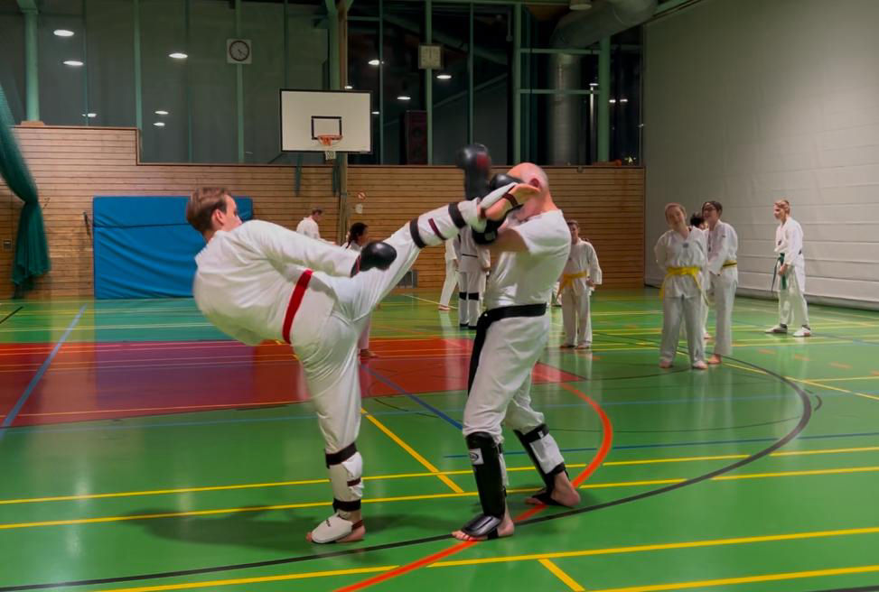 elite taekwondo