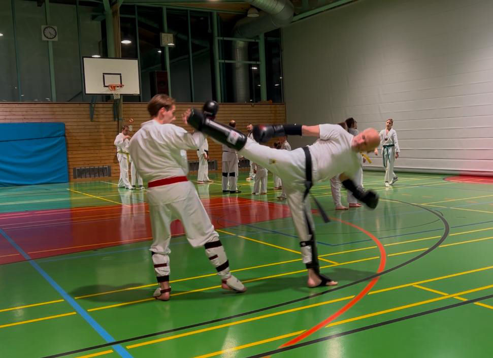 elite taekwondo