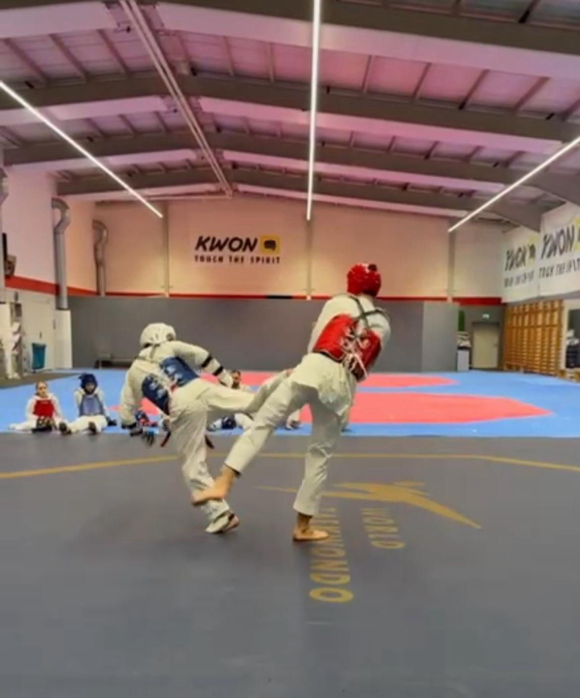 elite taekwondo