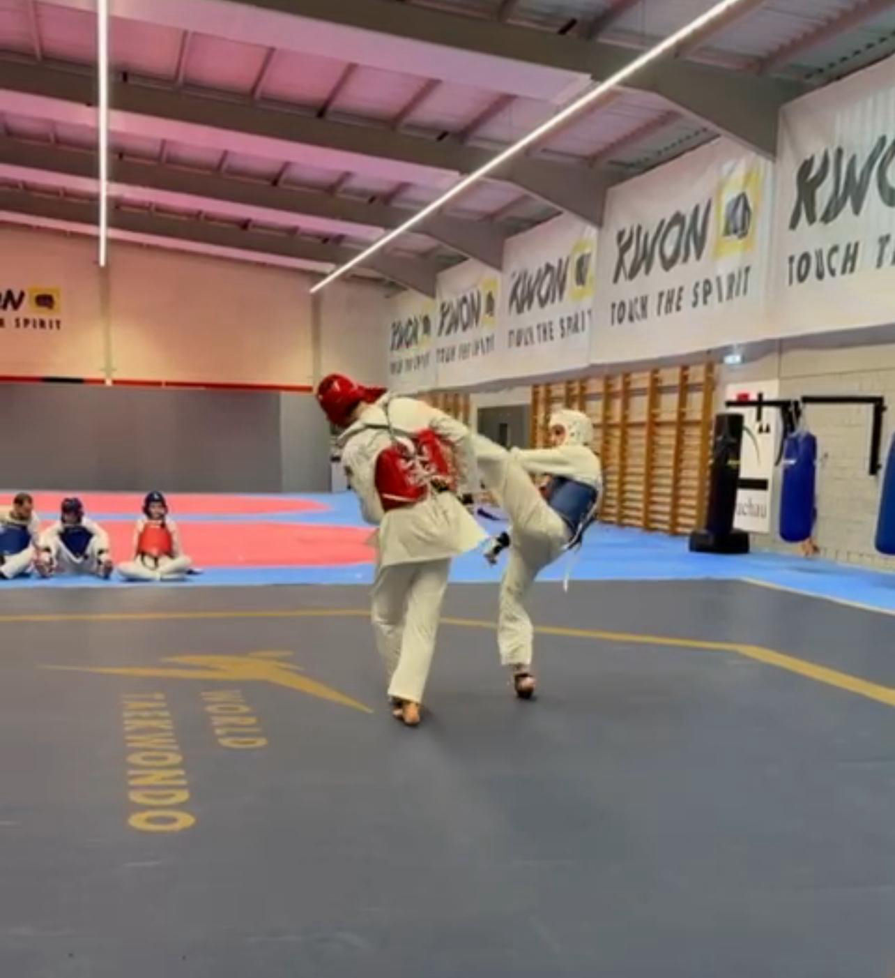 elite taekwondo