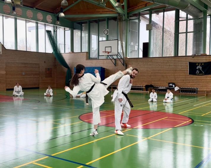 Elite taekwondo