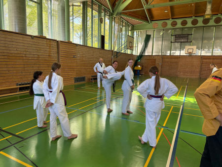 elite taekwondo