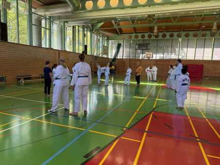elite taekwondo