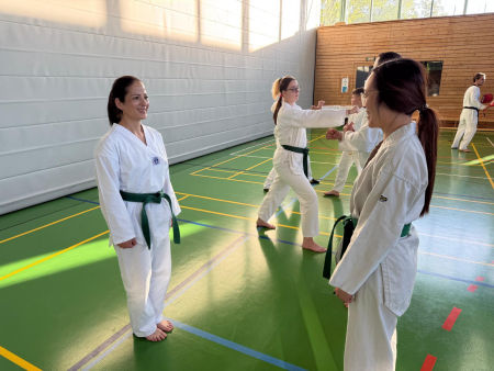 elite taekwondo
