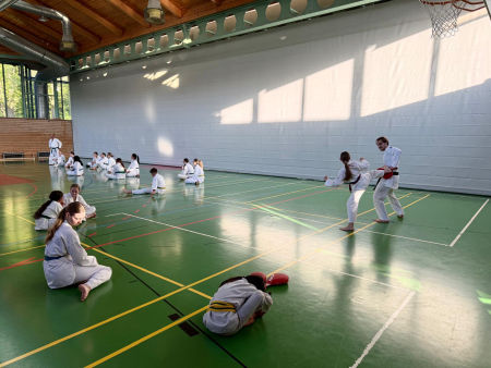 elite taekwondo