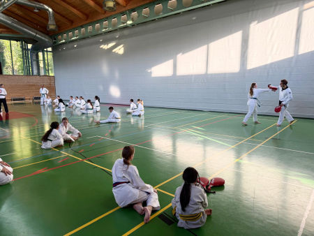 elite taekwondo
