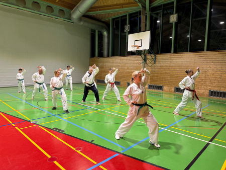 elite taekwondo