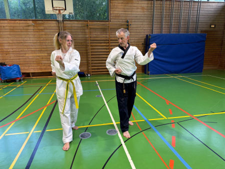 elite taekwondo