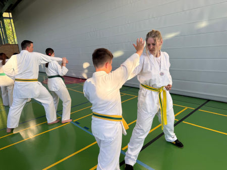 elite taekwondo