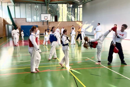 elite taekwondo