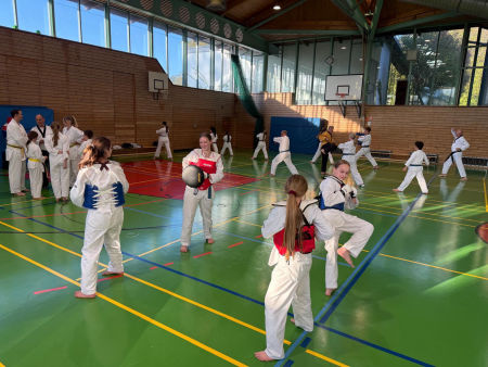 elite taekwondo