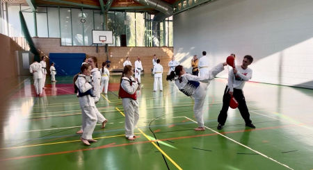 elite taekwondo