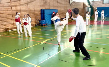 elite taekwondo