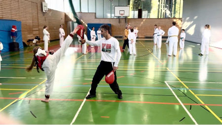 elite taekwondo