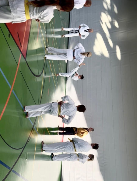 elite taekwondo