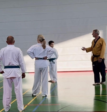 elite taekwondo