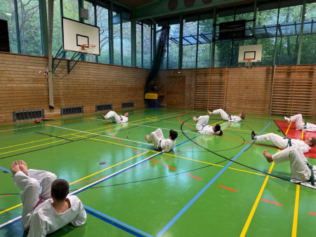 elite taekwondo