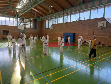 elite taekwondo