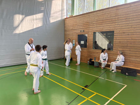 elite taekwondo