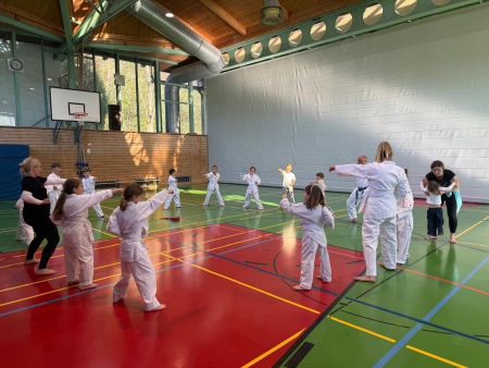 elite taekwondo