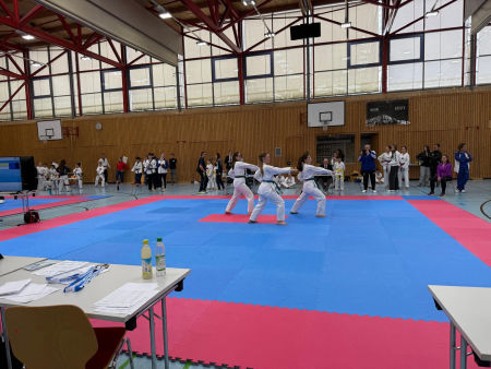 elite taekwondo