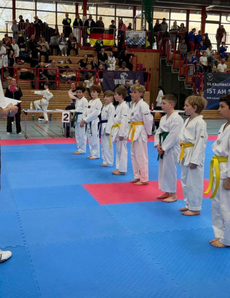 elite taekwondo
