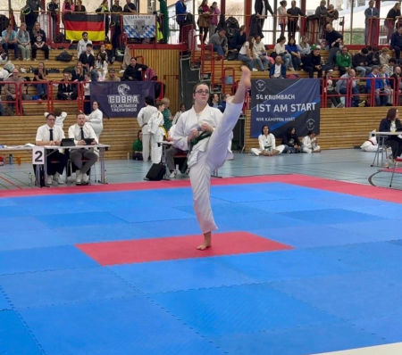 elite taekwondo