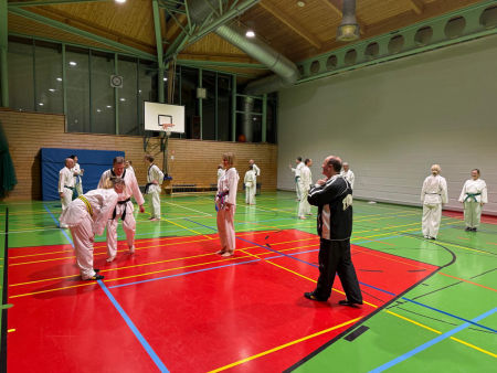 elite taekwondo