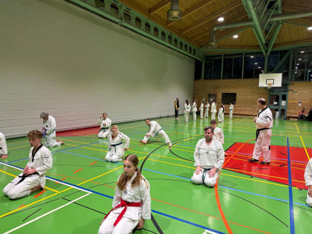 elite taekwondo