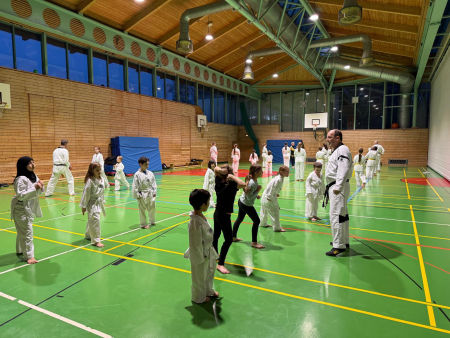 elite taekwondo