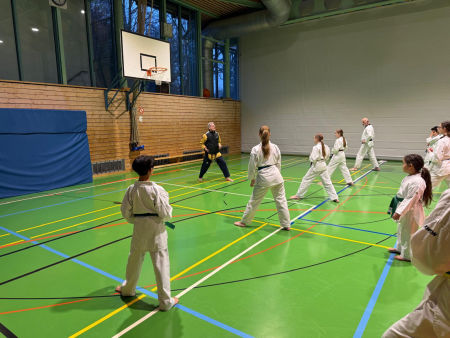 elite taekwondo