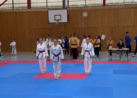 elite taekwondo