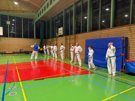 elite taekwondo