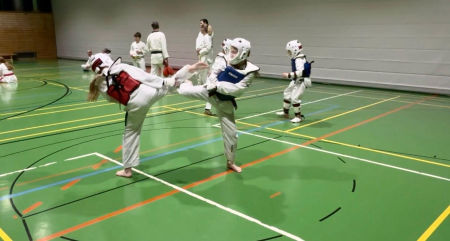 elite taekwondo