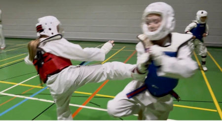 elite taekwondo