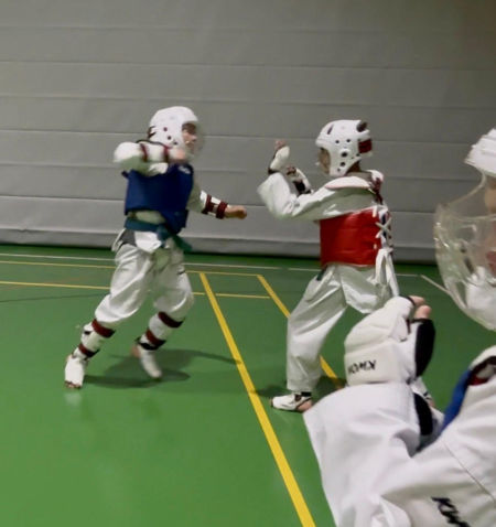 elite taekwondo