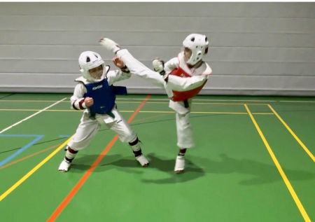 elite taekwondo