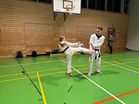 elite taekwondo