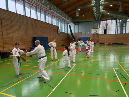 elite taekwondo