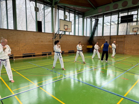 elite taekwondo