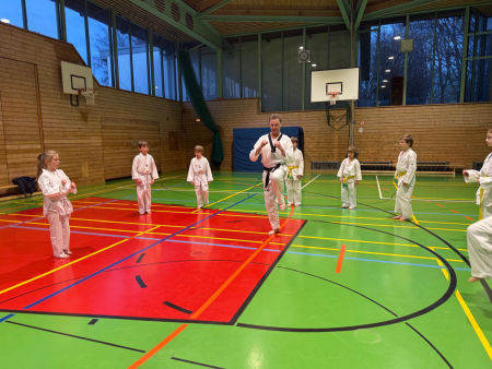 elite taekwondo