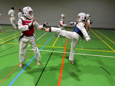 elite taekwondo