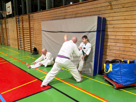 elite taekwondo
