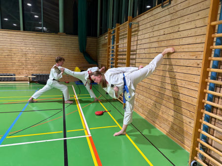 elite taekwondo