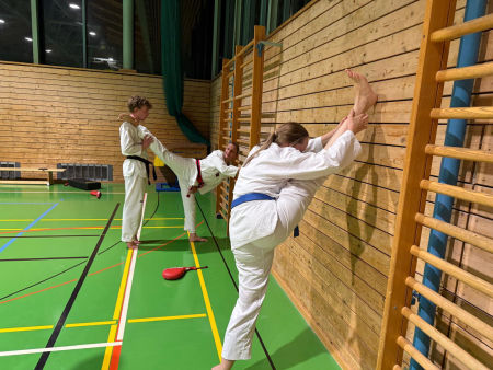 elite taekwondo