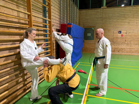 elite taekwondo
