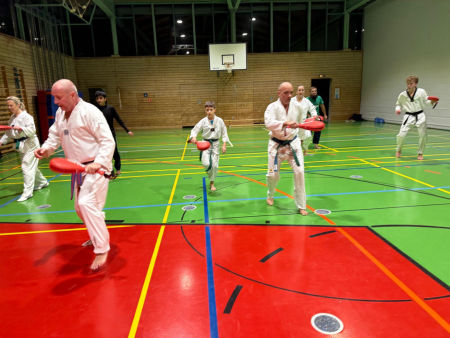 elite taekwondo